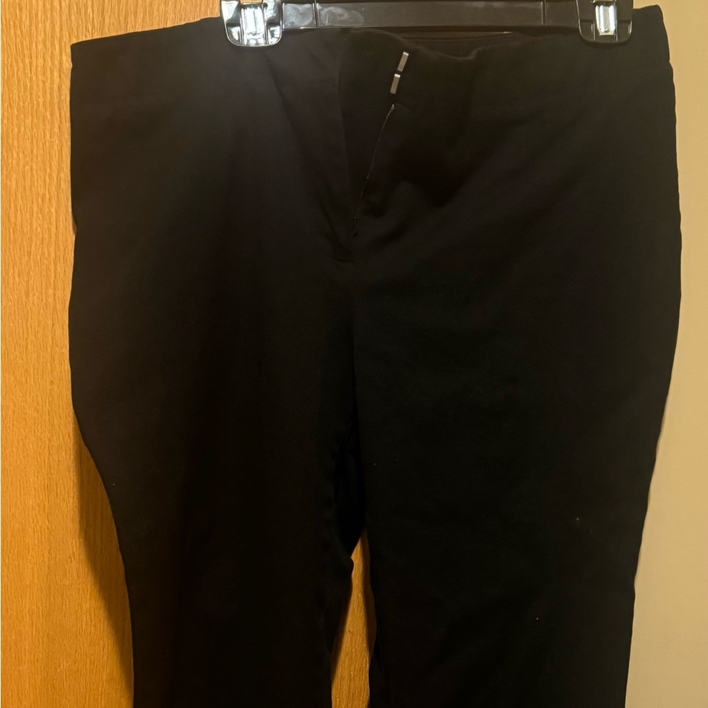 - Chico’s size 2 pants in EUC